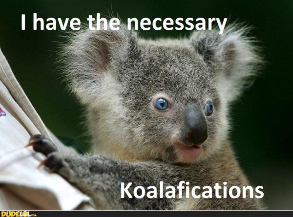 koalafications resized 600