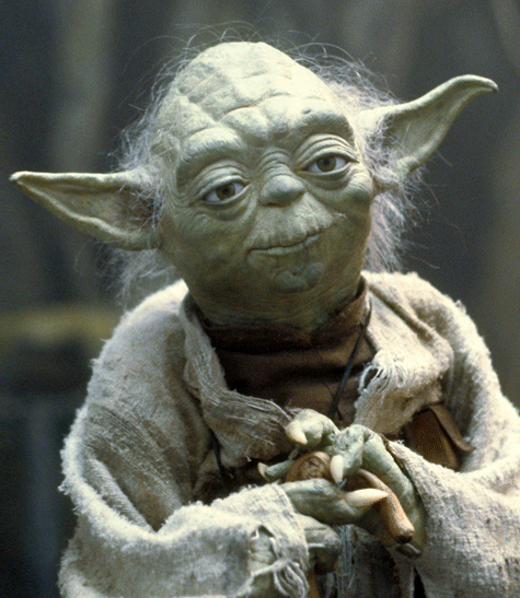 Yoda SWSB resized 600