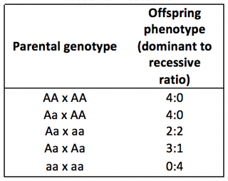 Tips For Interpreting Pedigree Charts And Understanding Inheritance Patterns