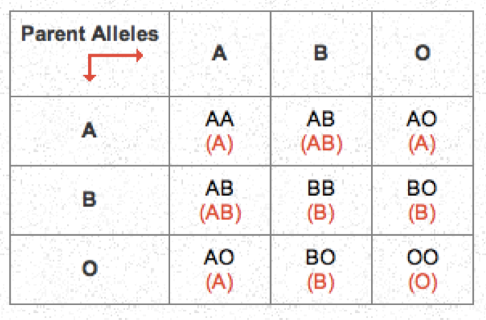 Prepare A Pedigree Chart For Blood Group