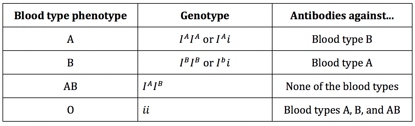 Blood Phenotype Chart