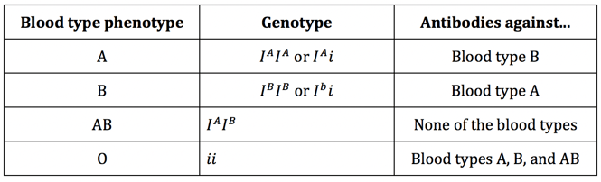 View A Blood Type And B Blood Type Offspring PNG