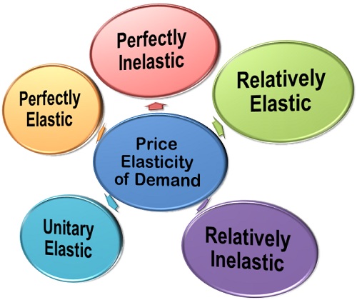 Understanding Elasticity of Demand in Economics 