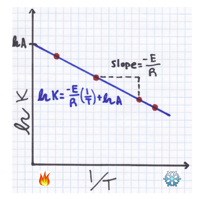 log6.png log6.png