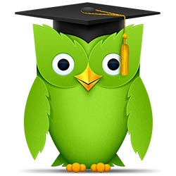 A Review of Duolingo: Is it Really Worth Your Time?