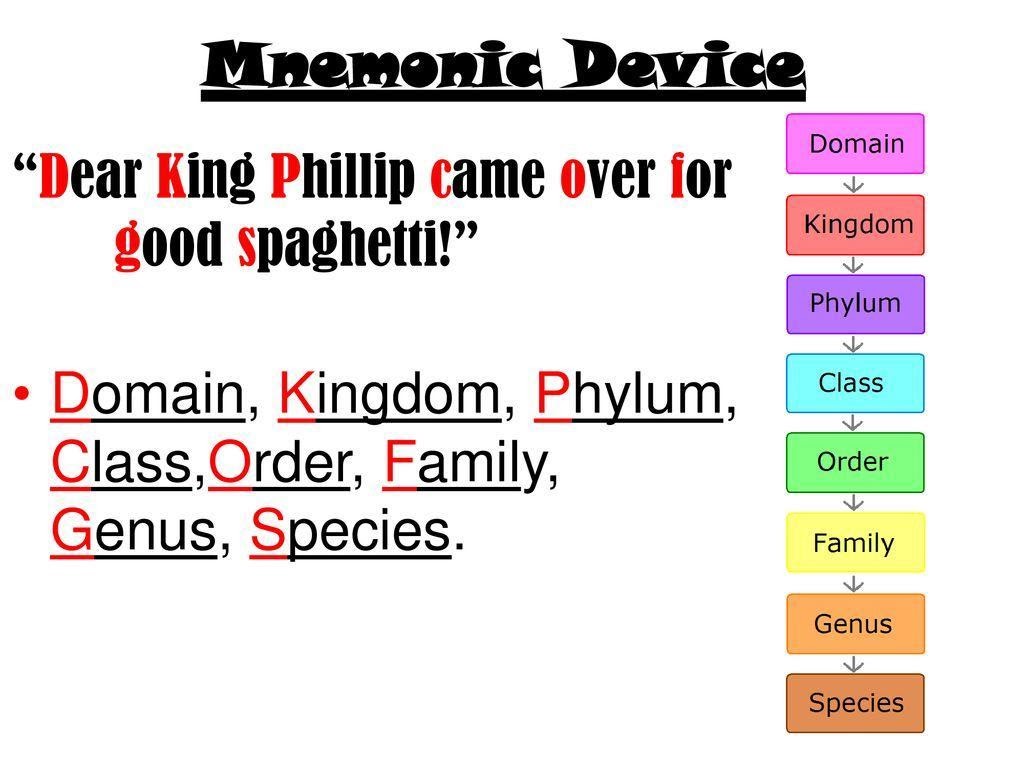 Mnemonics For Memory Your Mcat Best Friend